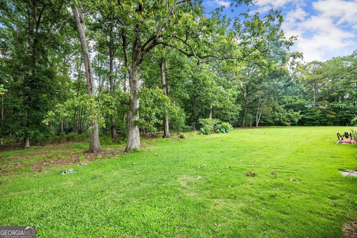 2316 Mount Olivet Road Road Hartwell - 38
