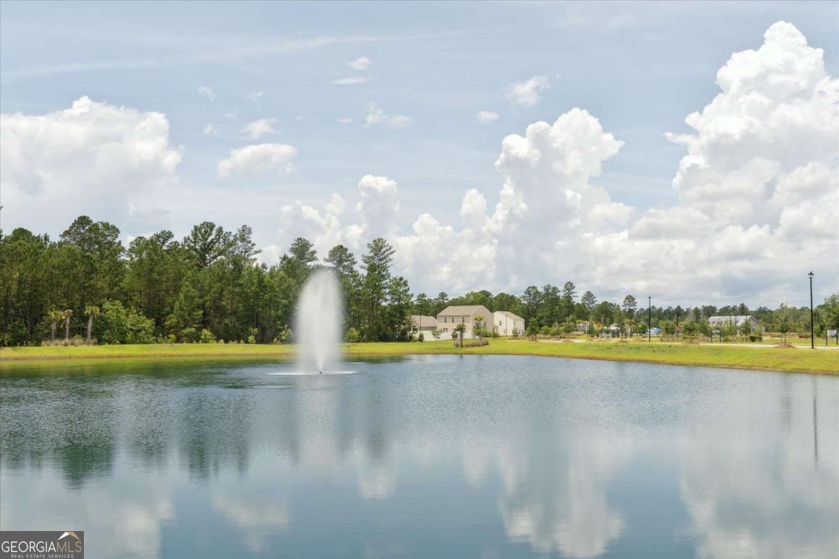 532 Turpentine Trail Bloomingdale - 3