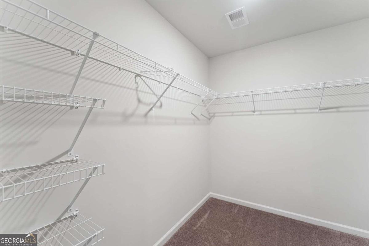 532 Turpentine Trail Bloomingdale - 48