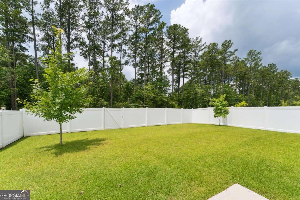 532 Turpentine Trail Bloomingdale - 54