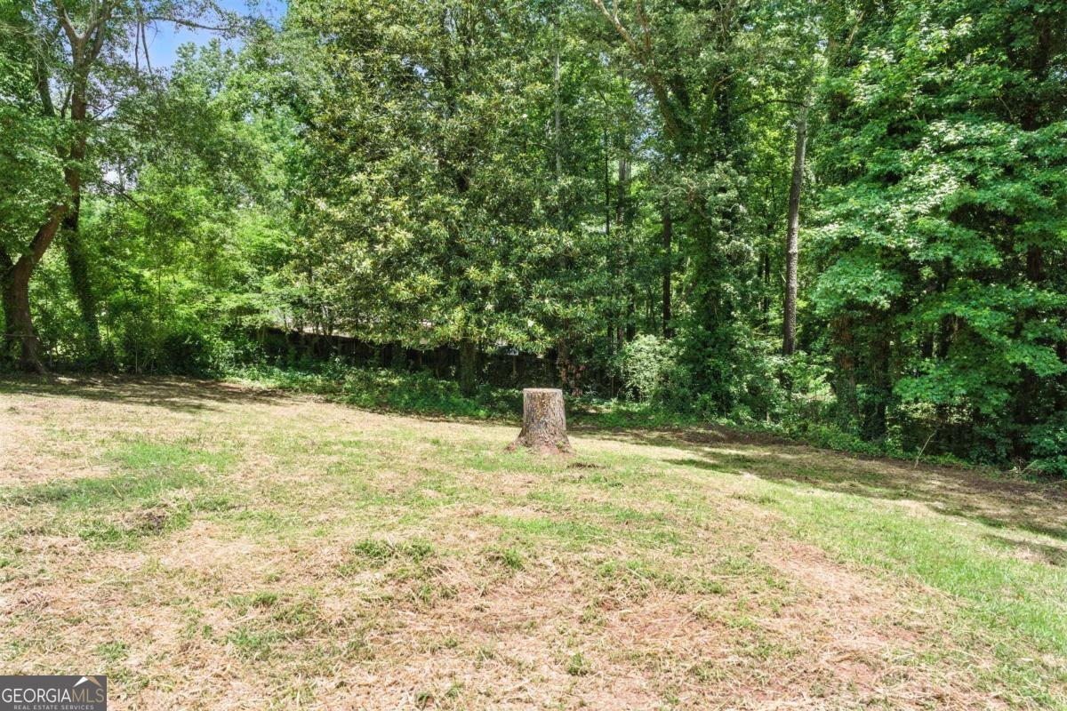 3013 Michael Drive Marietta - 23