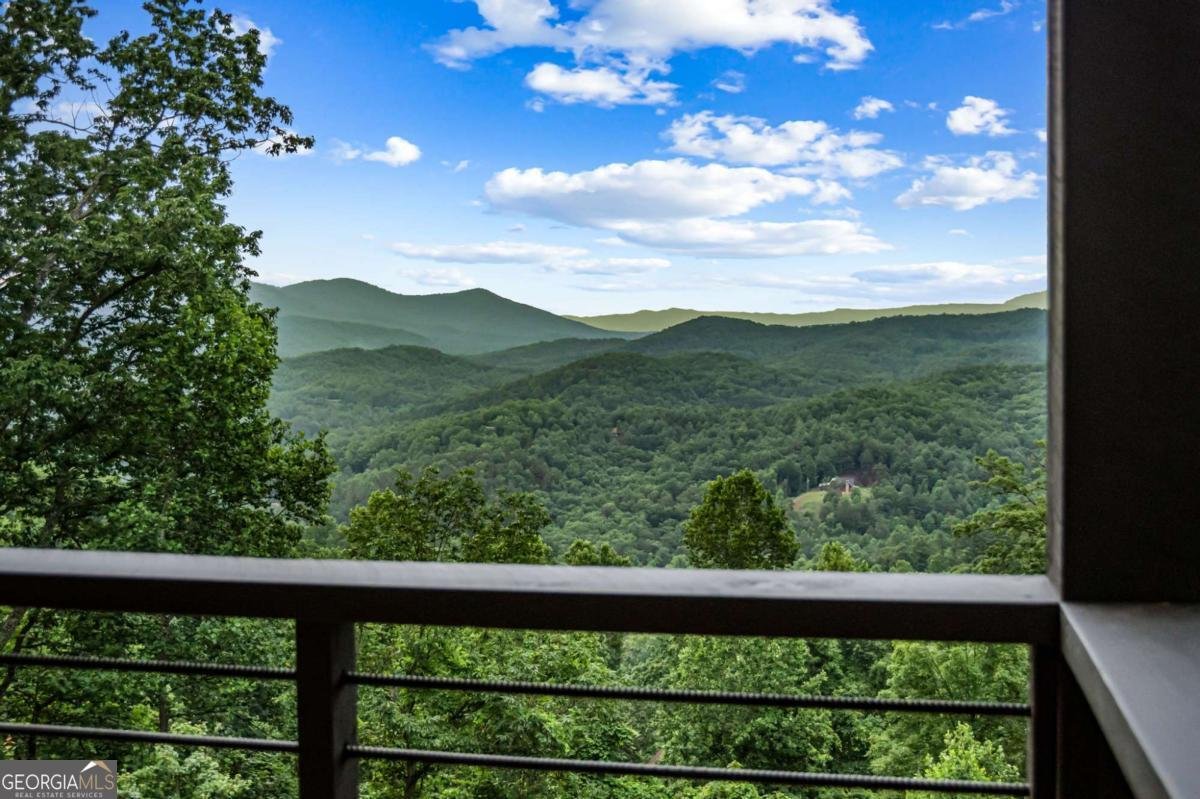 395 Pontoosuc Drive Mineral Bluff - 49