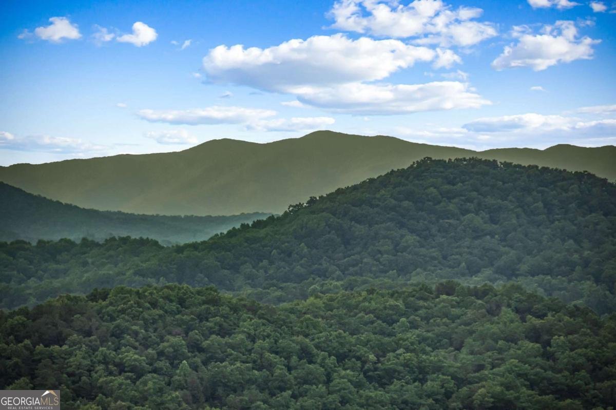 395 Pontoosuc Drive Mineral Bluff - 50