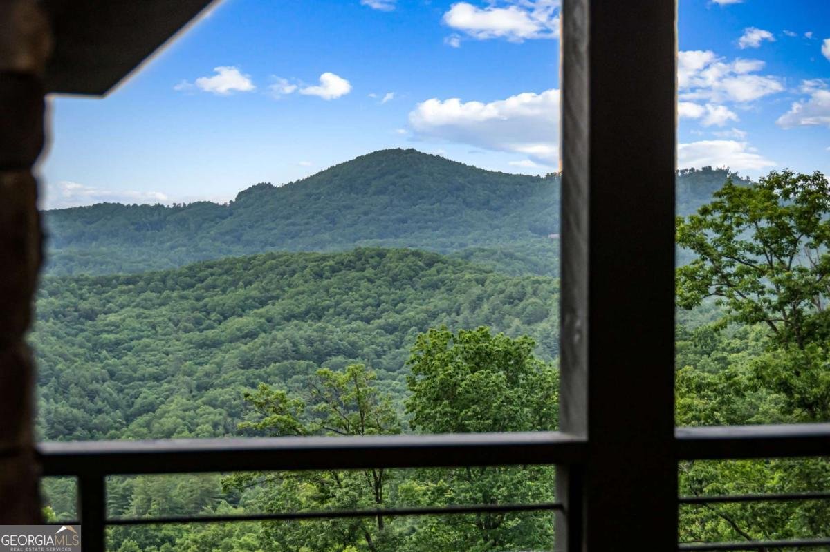 395 Pontoosuc Drive Mineral Bluff - 51