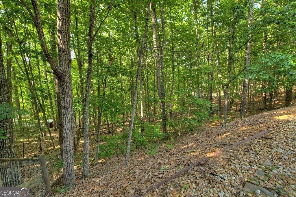191 Deer Run Road Blairsville - 8
