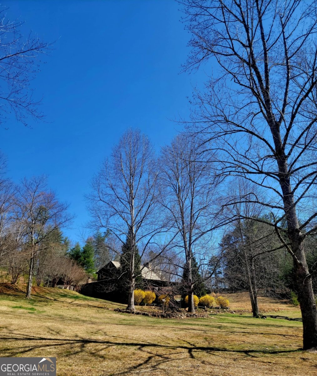 250 Harrison And Ada Road Blue Ridge - 2