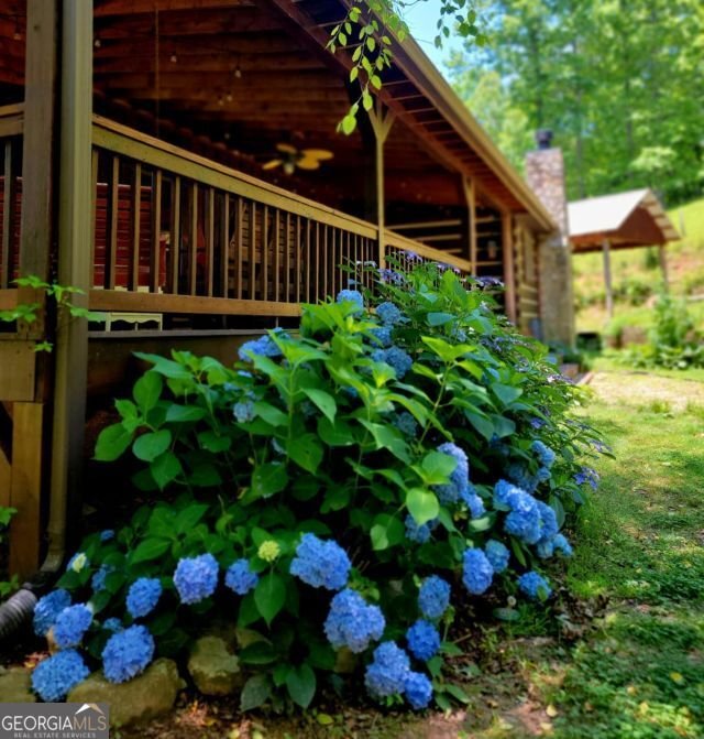 250 Harrison And Ada Road Blue Ridge - 33