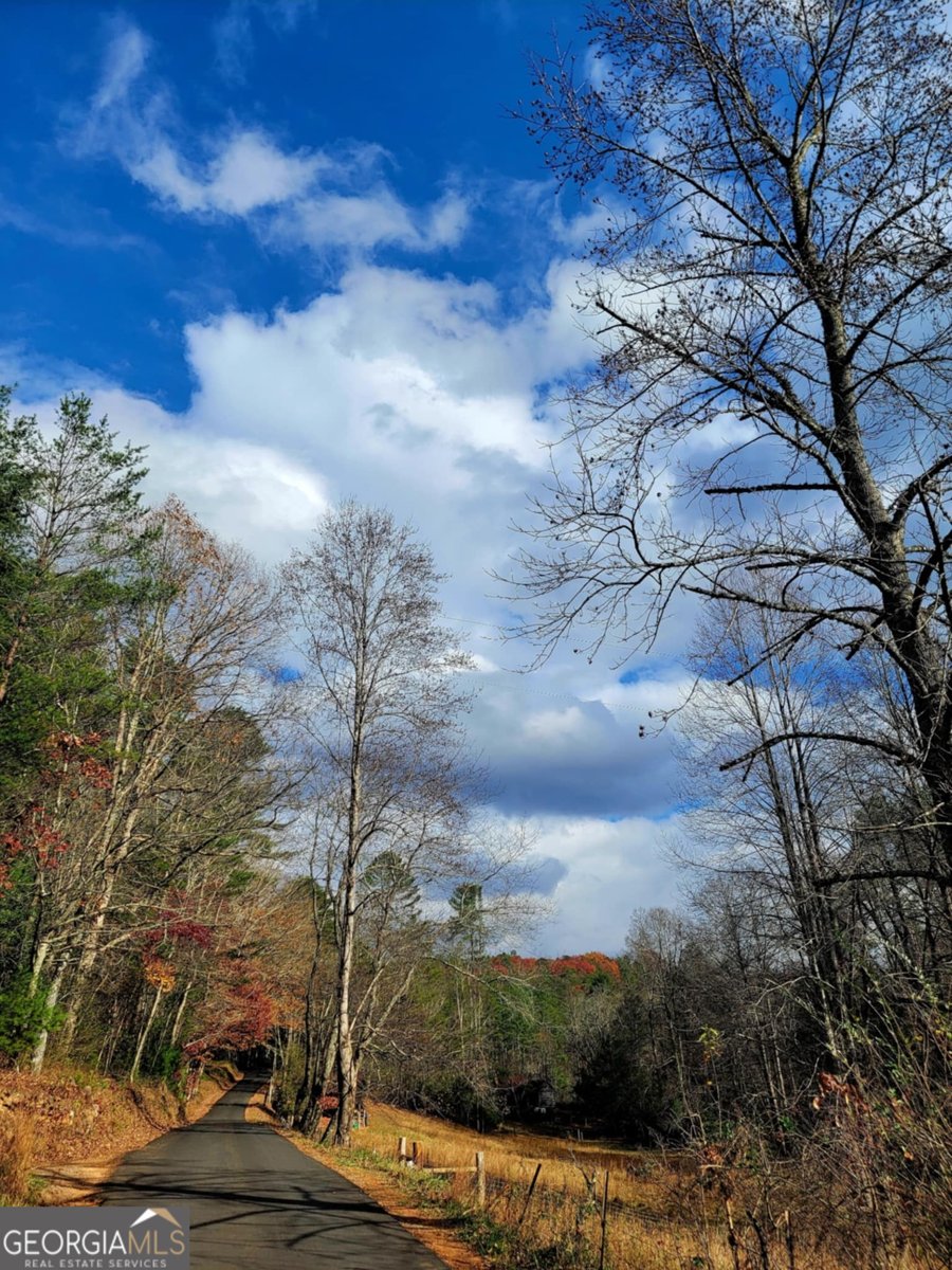 250 Harrison And Ada Road Blue Ridge - 40