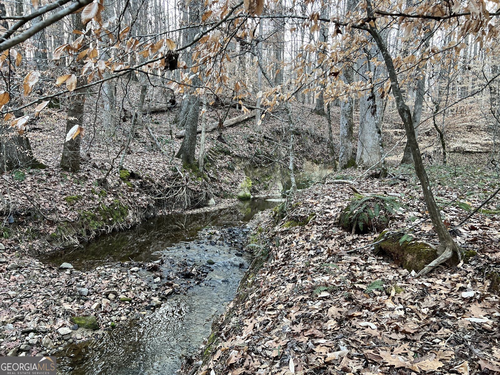 1800 Elder Mill Road Watkinsville - 17