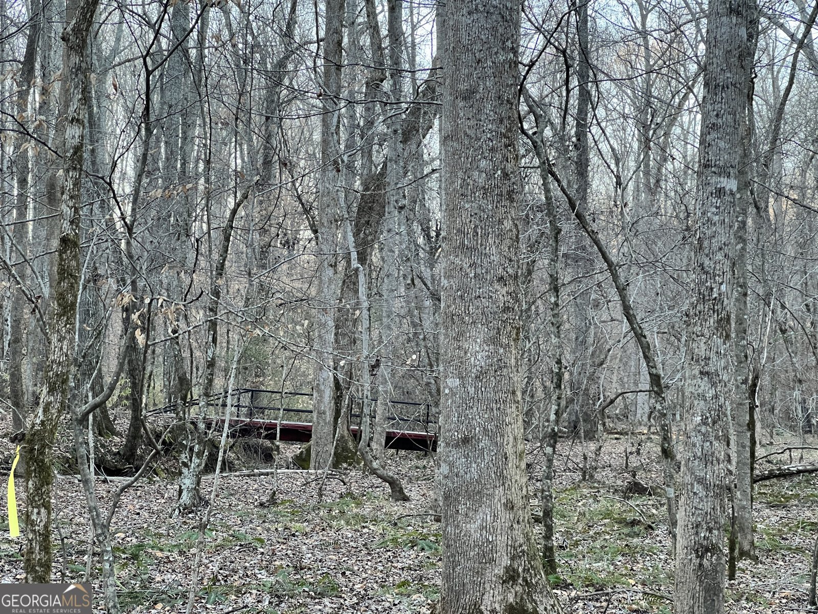 1800 Elder Mill Road Watkinsville - 19