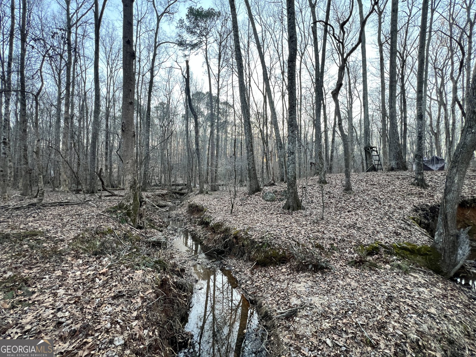 1800 Elder Mill Road Watkinsville - 20