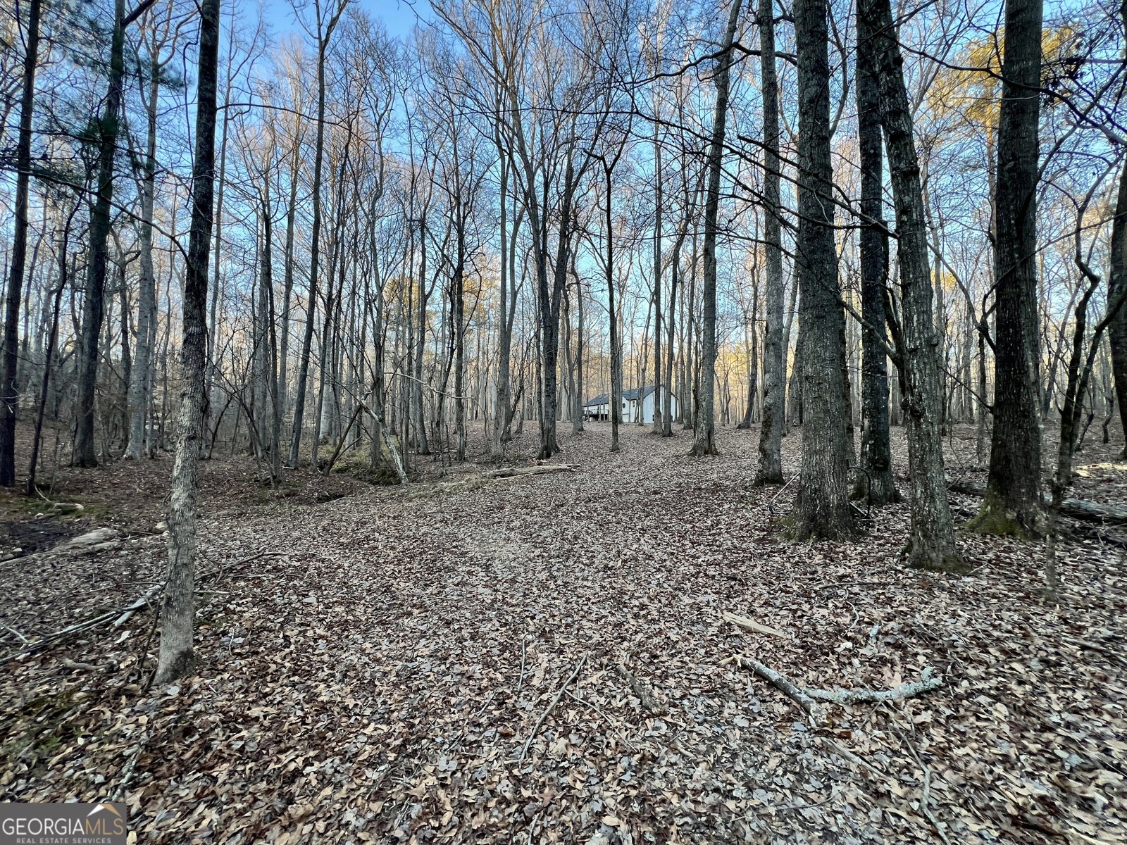 1800 Elder Mill Road Watkinsville - 21