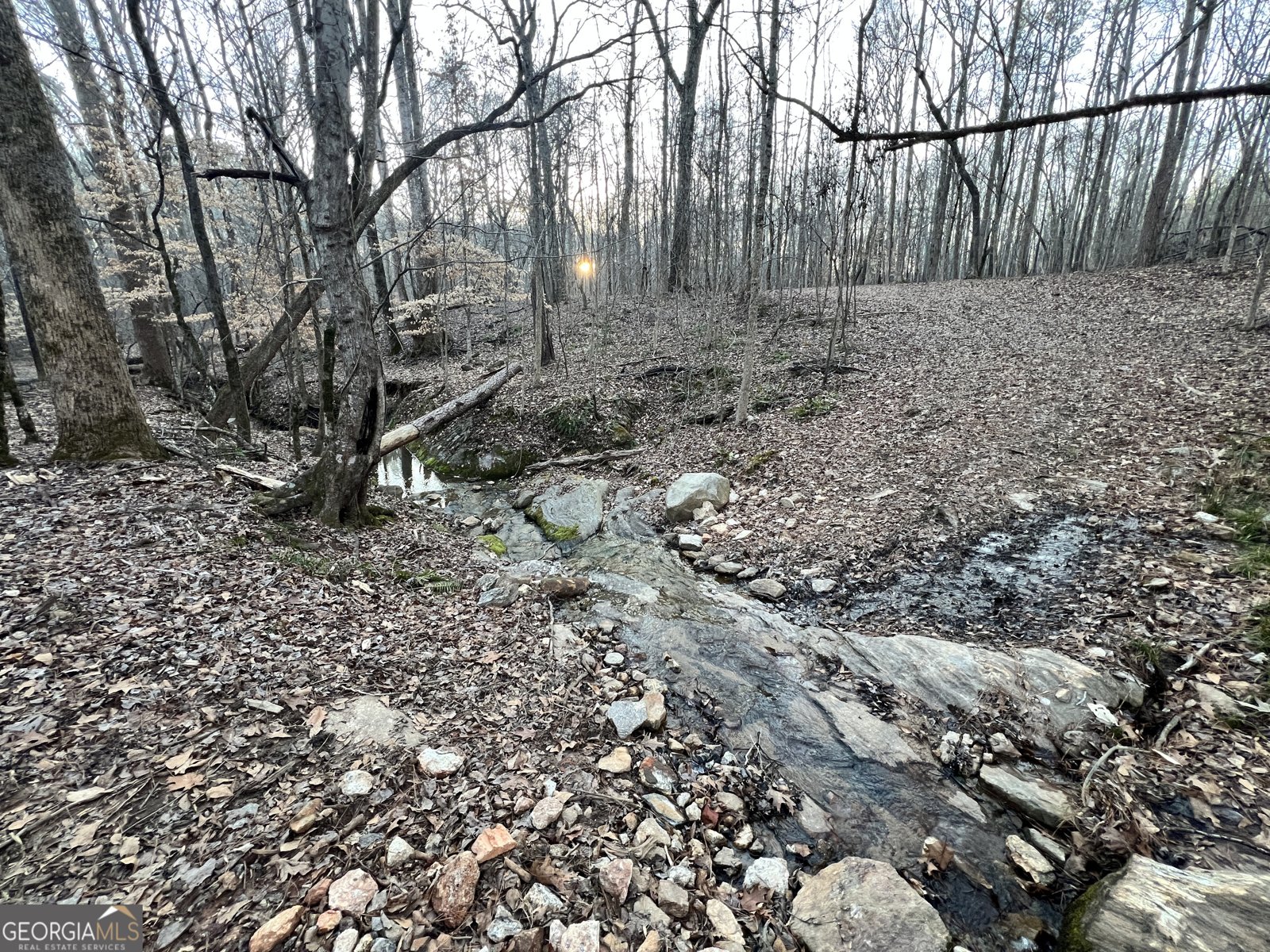 1800 Elder Mill Road Watkinsville - 22