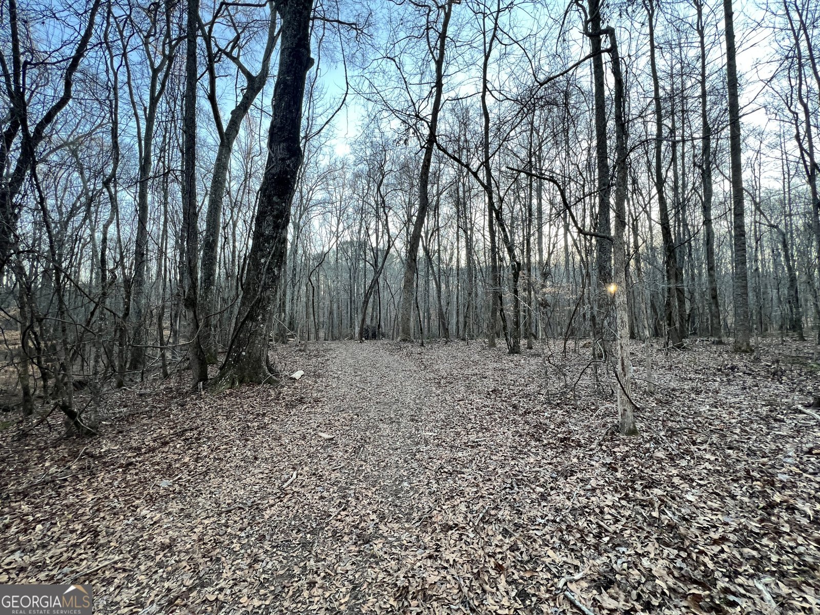 1800 Elder Mill Road Watkinsville - 23