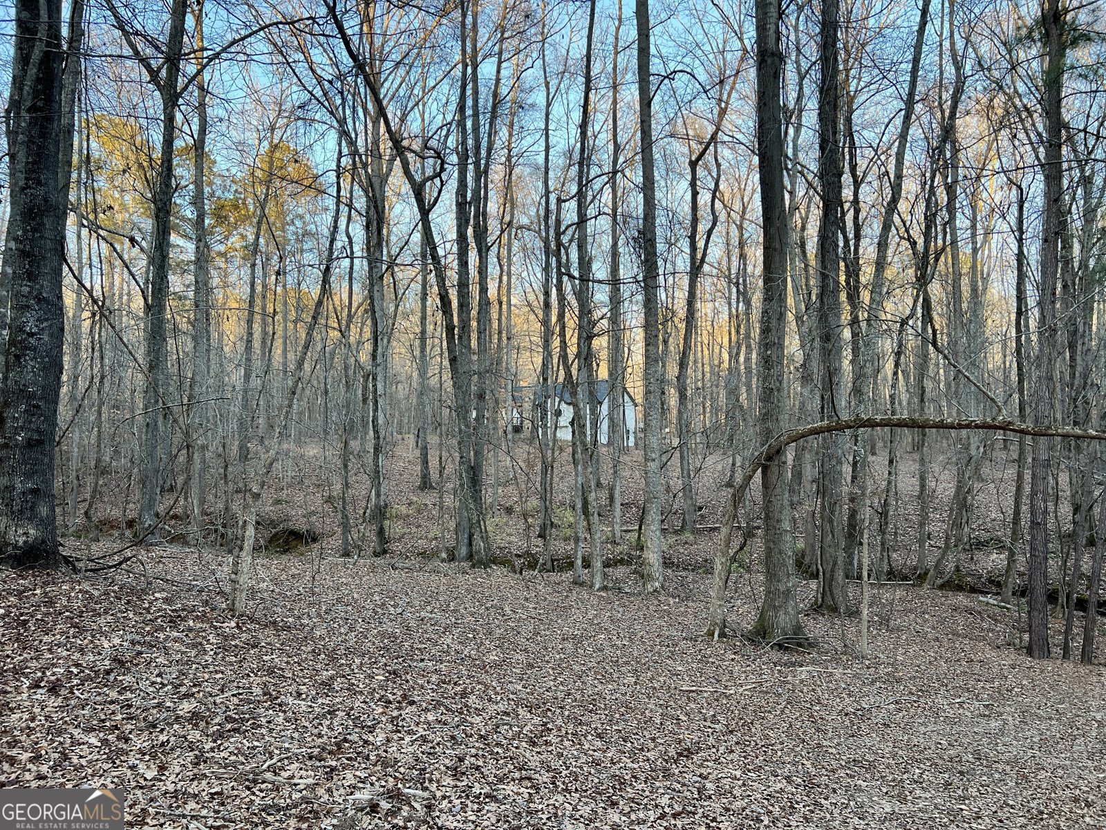 1800 Elder Mill Road Watkinsville - 24