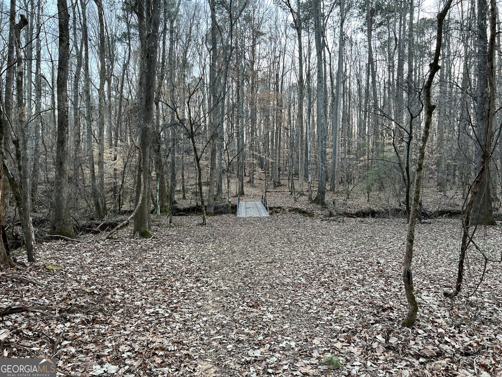 1800 Elder Mill Road Watkinsville - 26