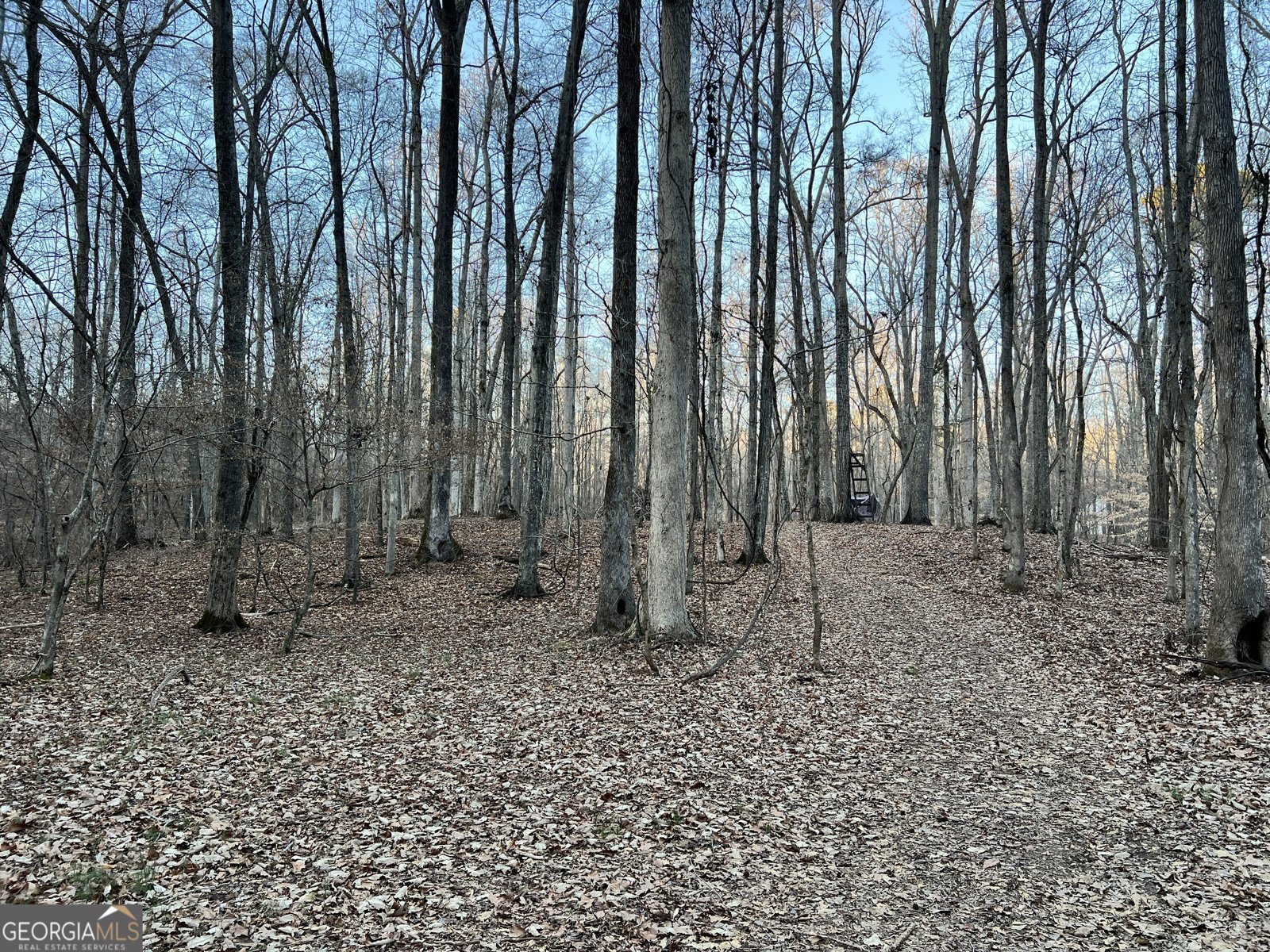 1800 Elder Mill Road Watkinsville - 27