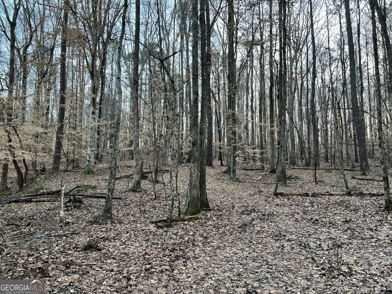 1800 Elder Mill Road Watkinsville - 31