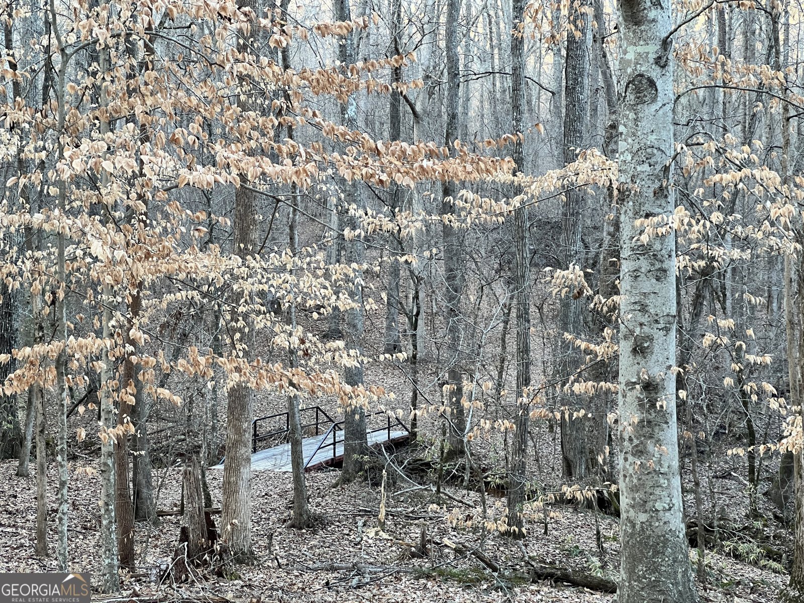 1800 Elder Mill Road Watkinsville - 33