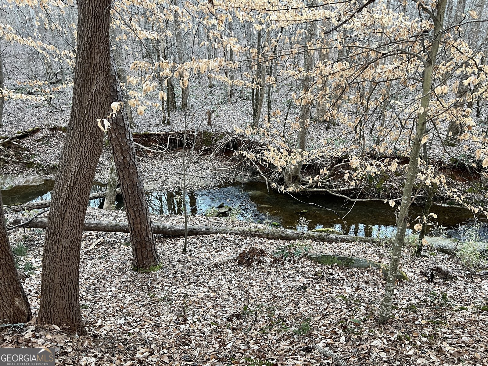 1800 Elder Mill Road Watkinsville - 34
