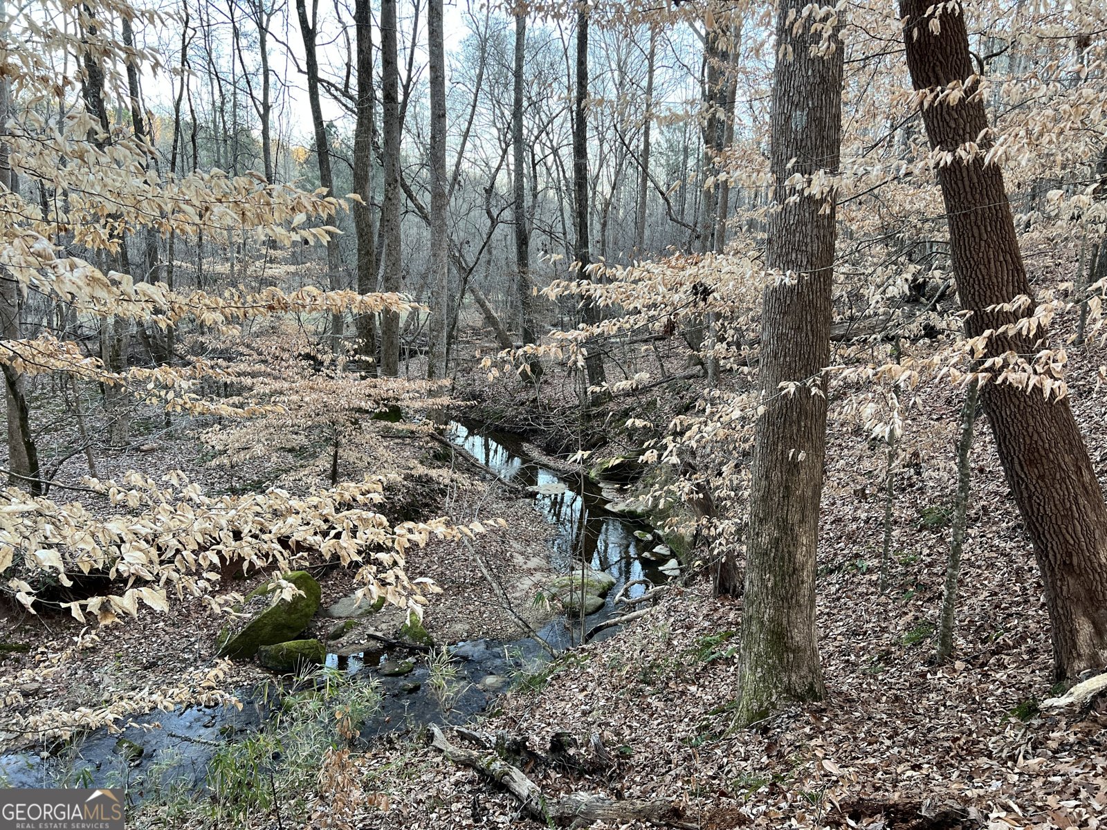 1800 Elder Mill Road Watkinsville - 35