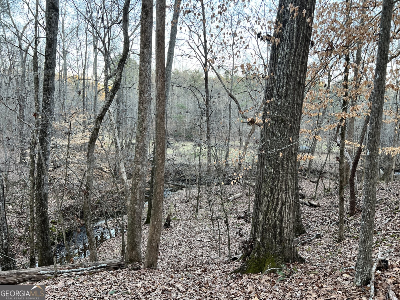 1800 Elder Mill Road Watkinsville - 36