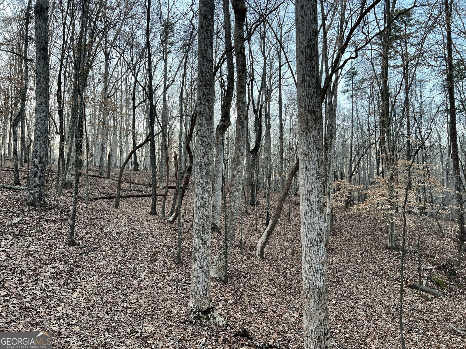 1800 Elder Mill Road Watkinsville - 37