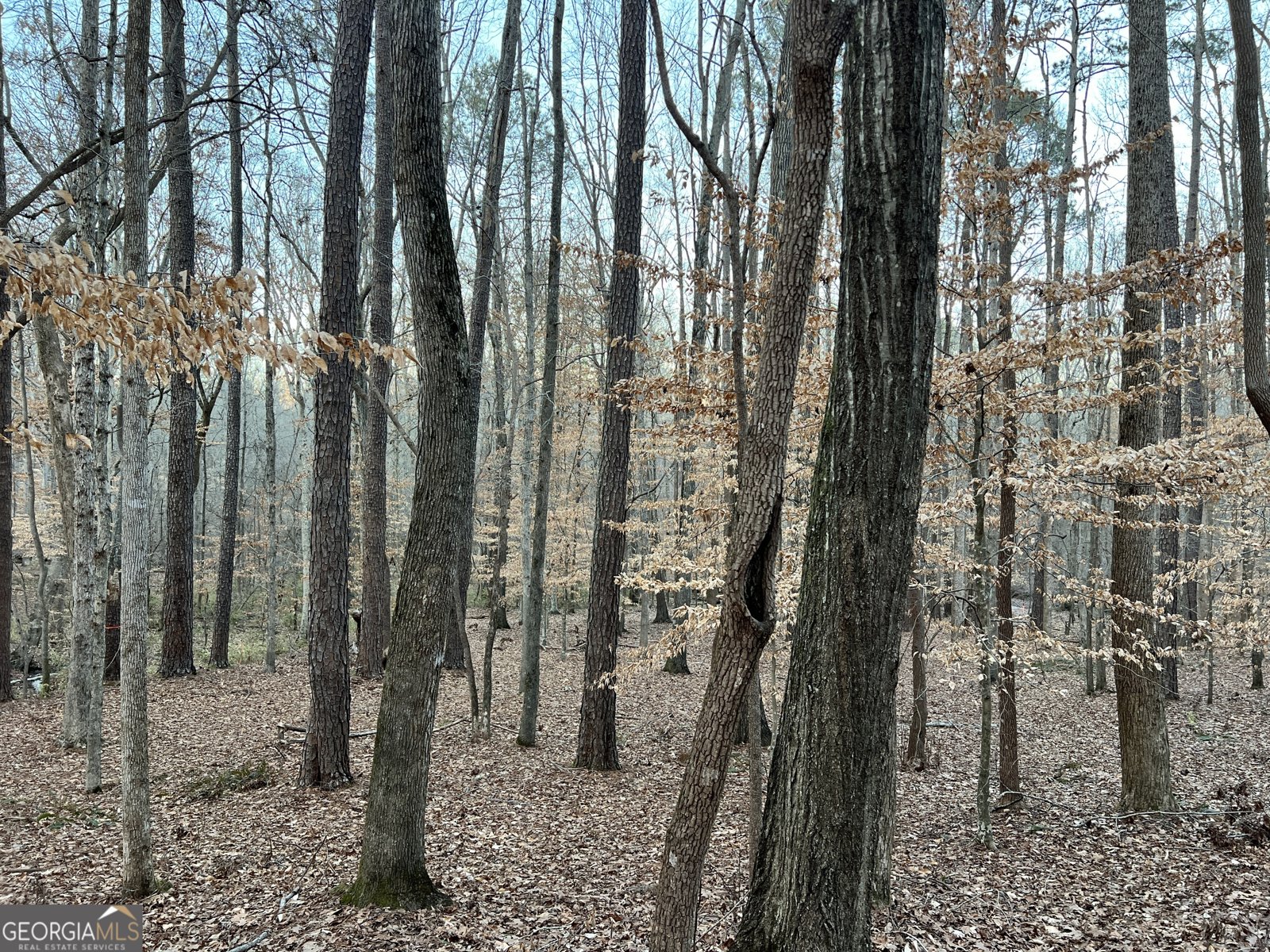 1800 Elder Mill Road Watkinsville - 38