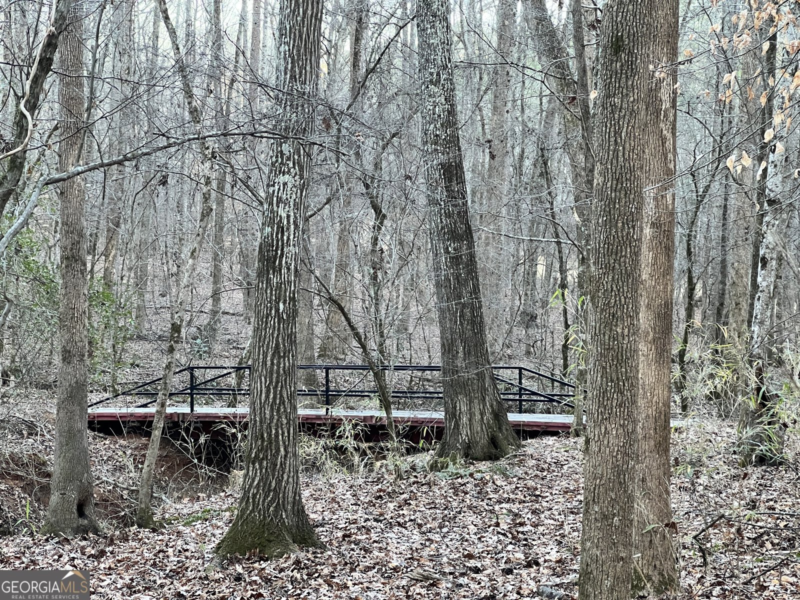 1800 Elder Mill Road Watkinsville - 39