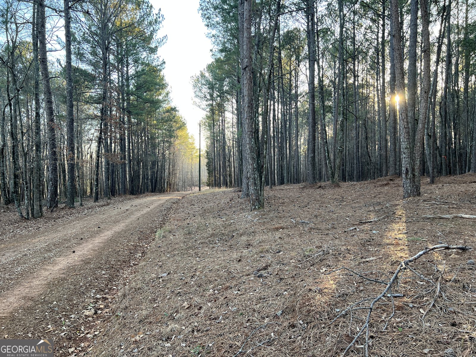 1800 Elder Mill Road Watkinsville - 4