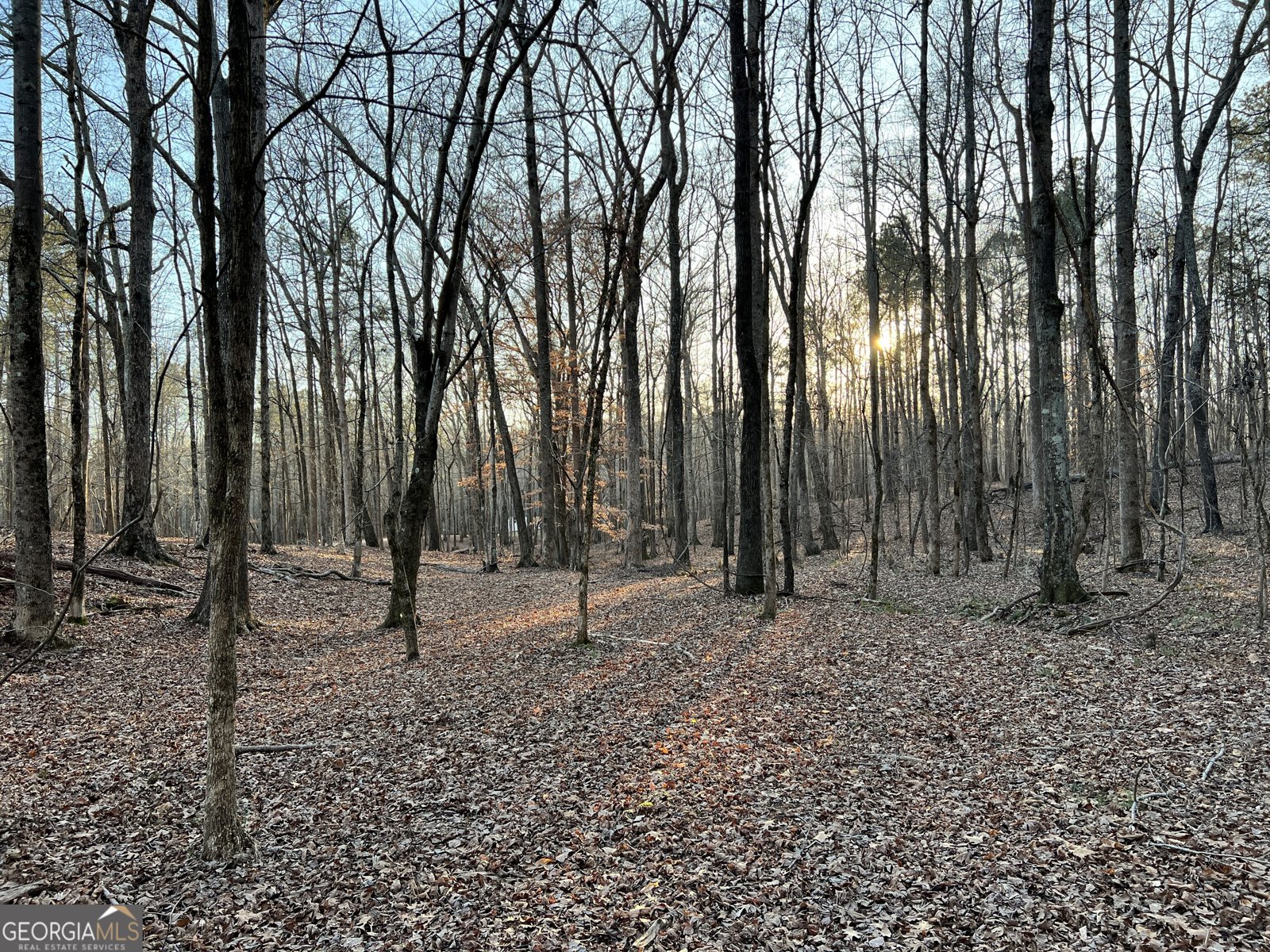 1800 Elder Mill Road Watkinsville - 6