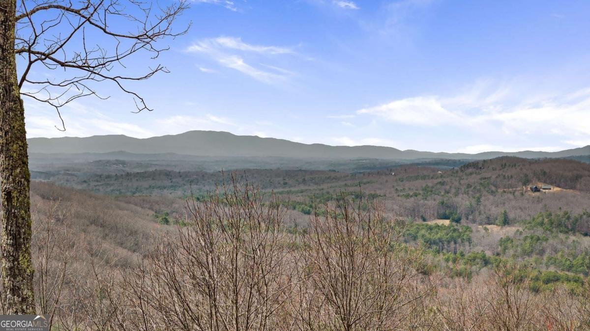 305 Enchanting Circle Morganton - 3