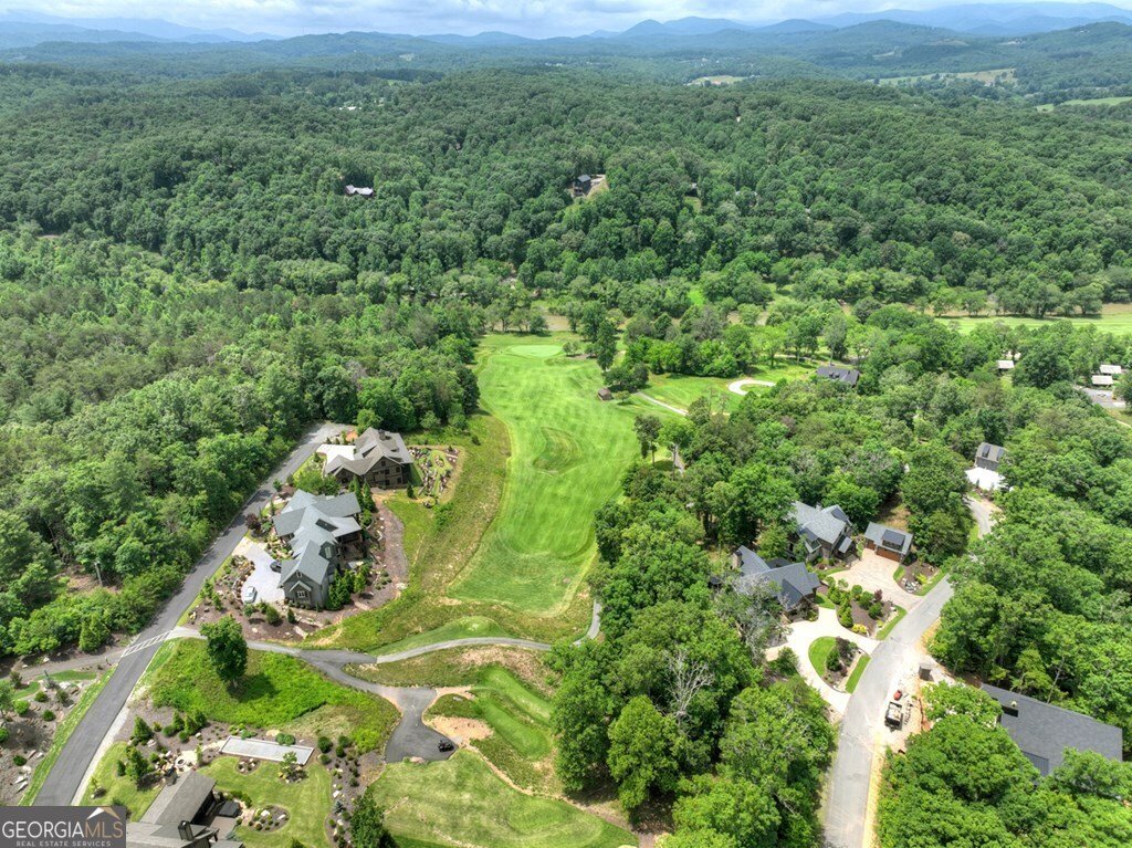658 Old Toccoa Loop Mineral Bluff - 10
