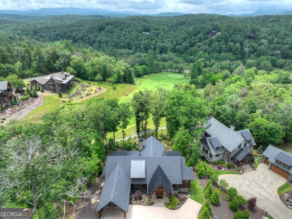 658 Old Toccoa Loop Mineral Bluff - 3