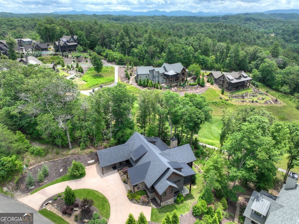 658 Old Toccoa Loop Mineral Bluff - 4
