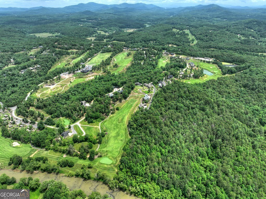 658 Old Toccoa Loop Mineral Bluff - 52