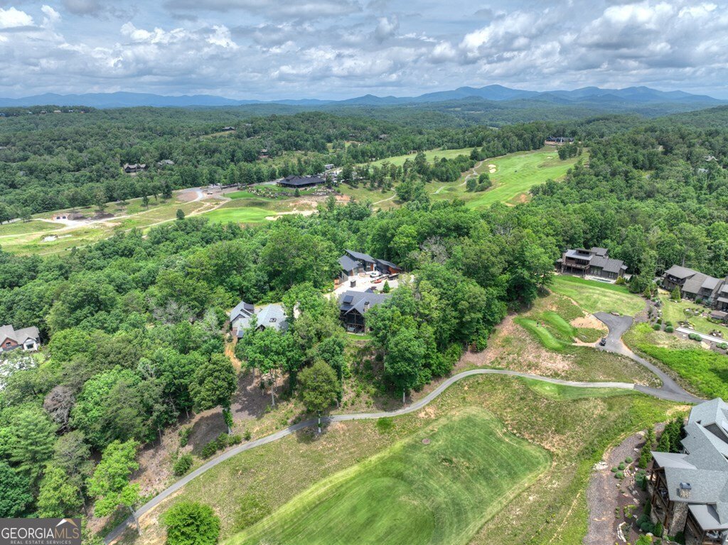 658 Old Toccoa Loop Mineral Bluff - 54