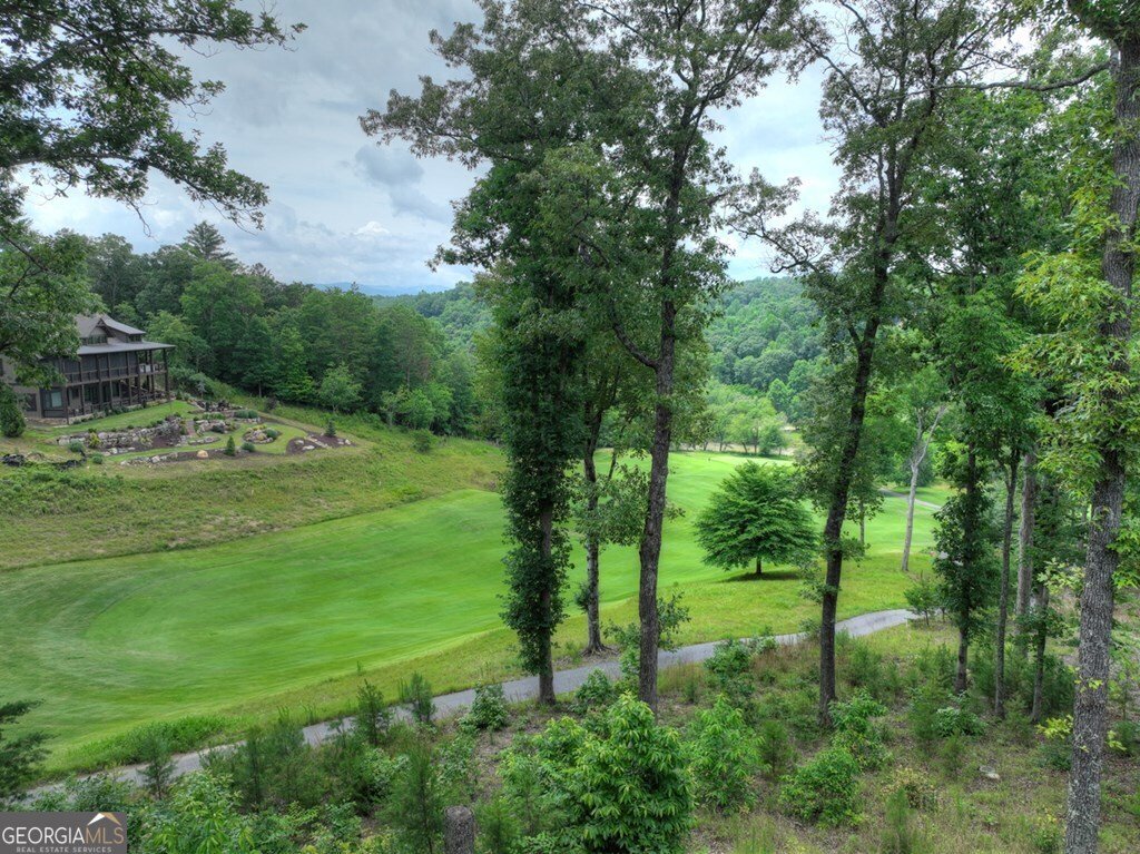 658 Old Toccoa Loop Mineral Bluff - 59