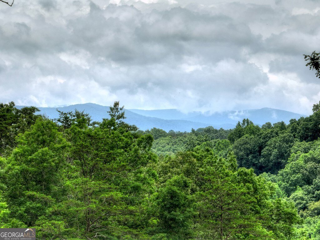 658 Old Toccoa Loop Mineral Bluff - 60
