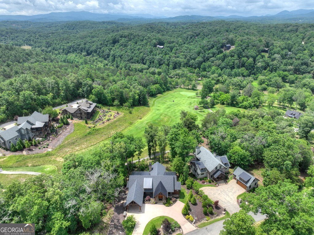 658 Old Toccoa Loop Mineral Bluff - 7