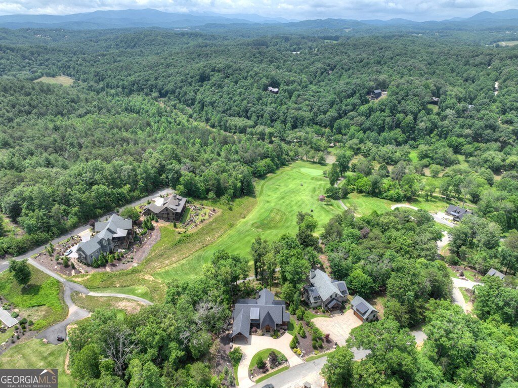 658 Old Toccoa Loop Mineral Bluff - 8