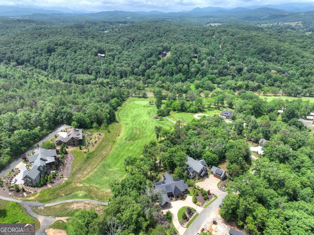 658 Old Toccoa Loop Mineral Bluff - 9