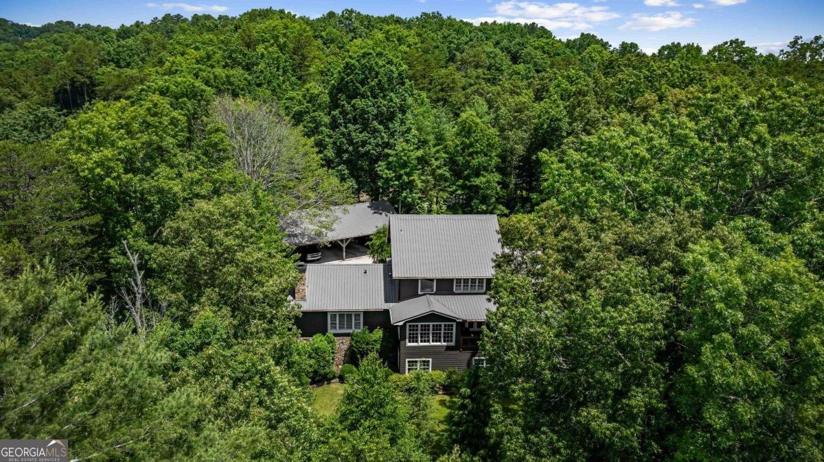 223 Mountain Tops Road Blue Ridge - 32