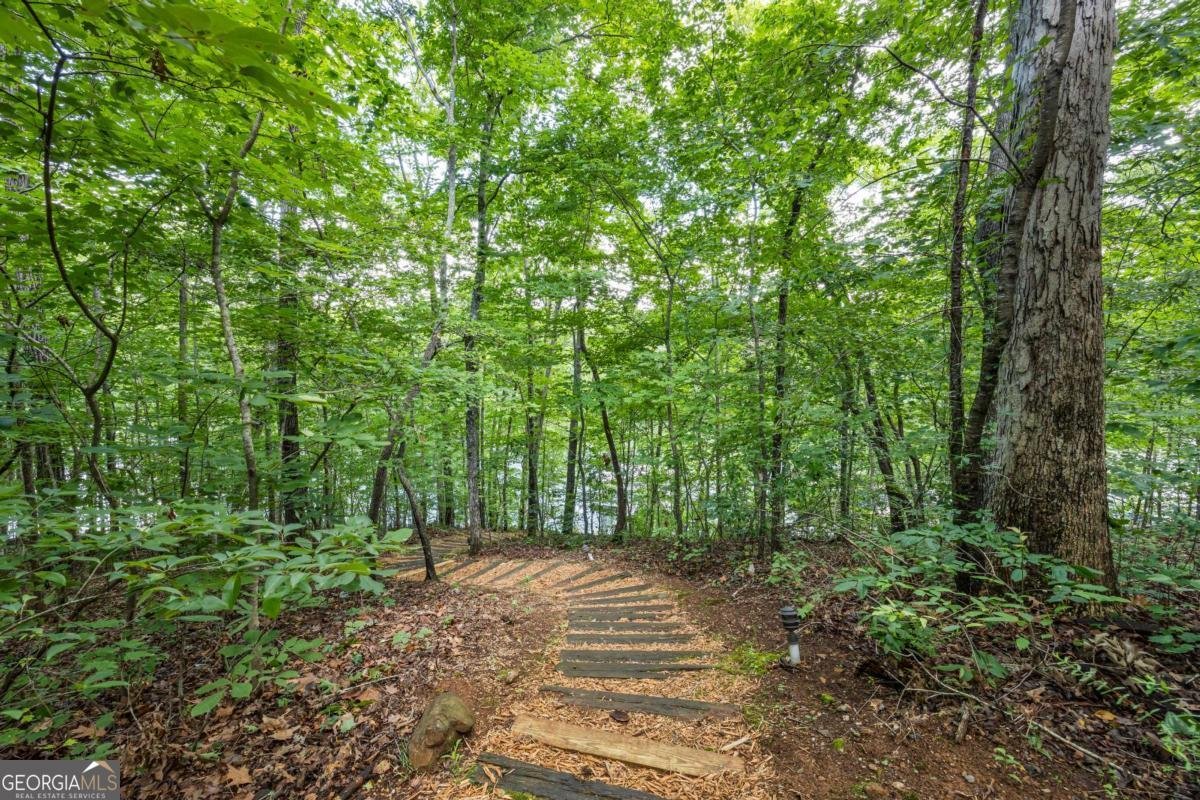 88 Toto Creek Drive Dawsonville - 11