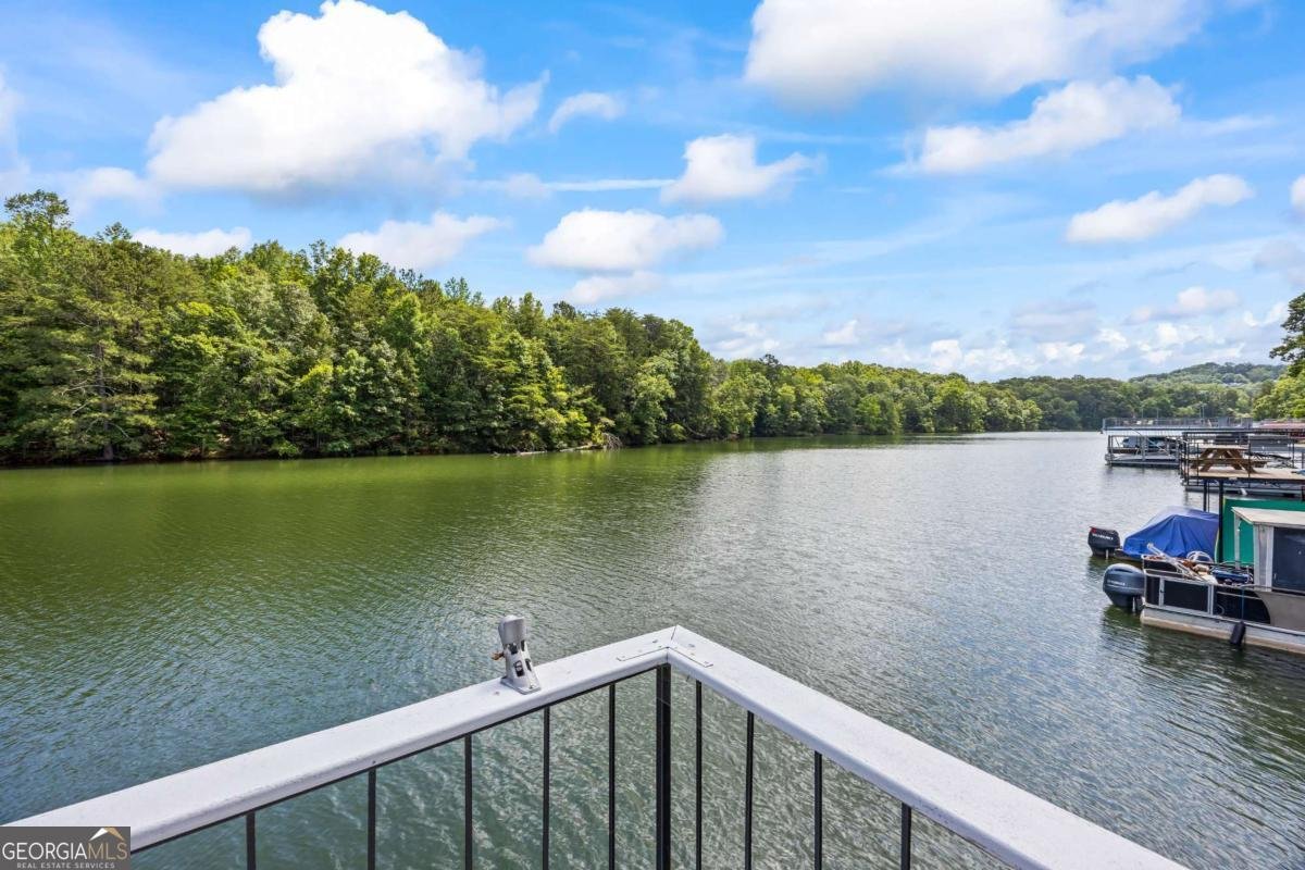 88 Toto Creek Drive Dawsonville - 19