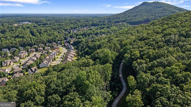 2050 Poplar Ridge Place Cumming - 30