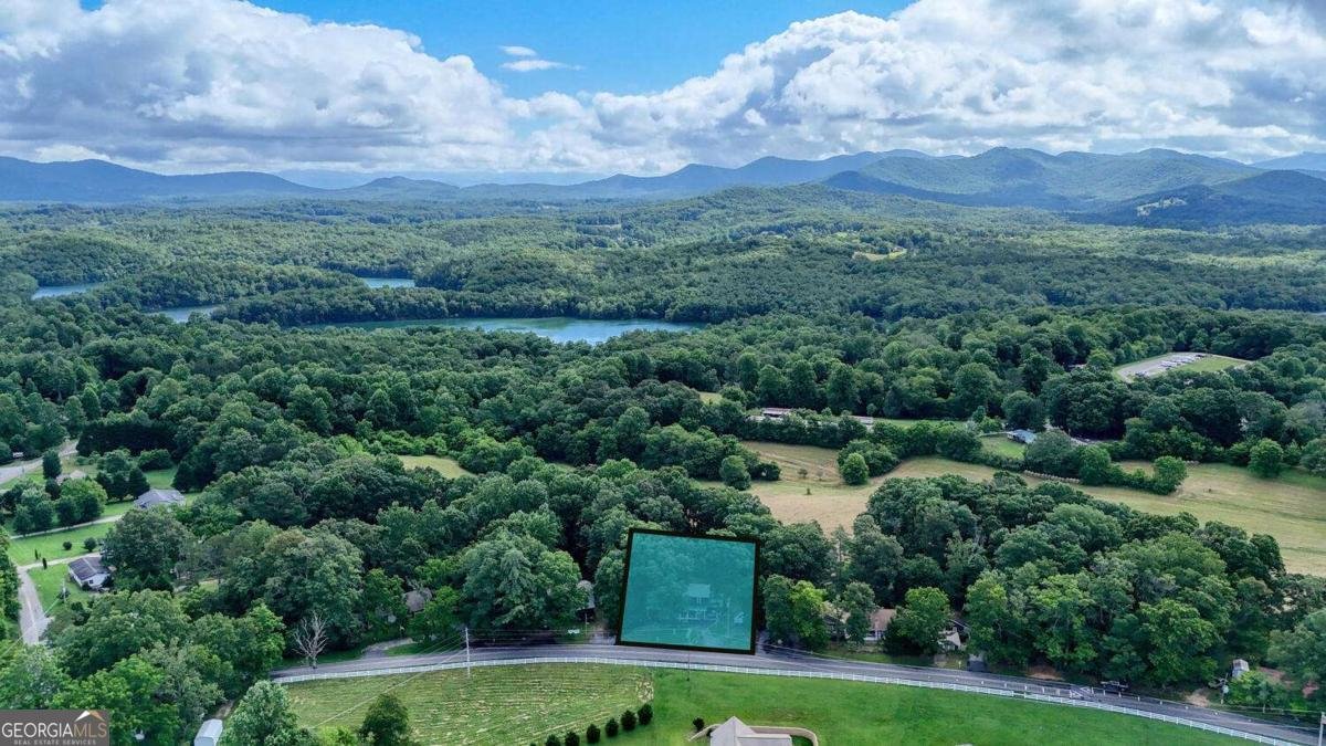432 Jewell Mason Road Blairsville - 3