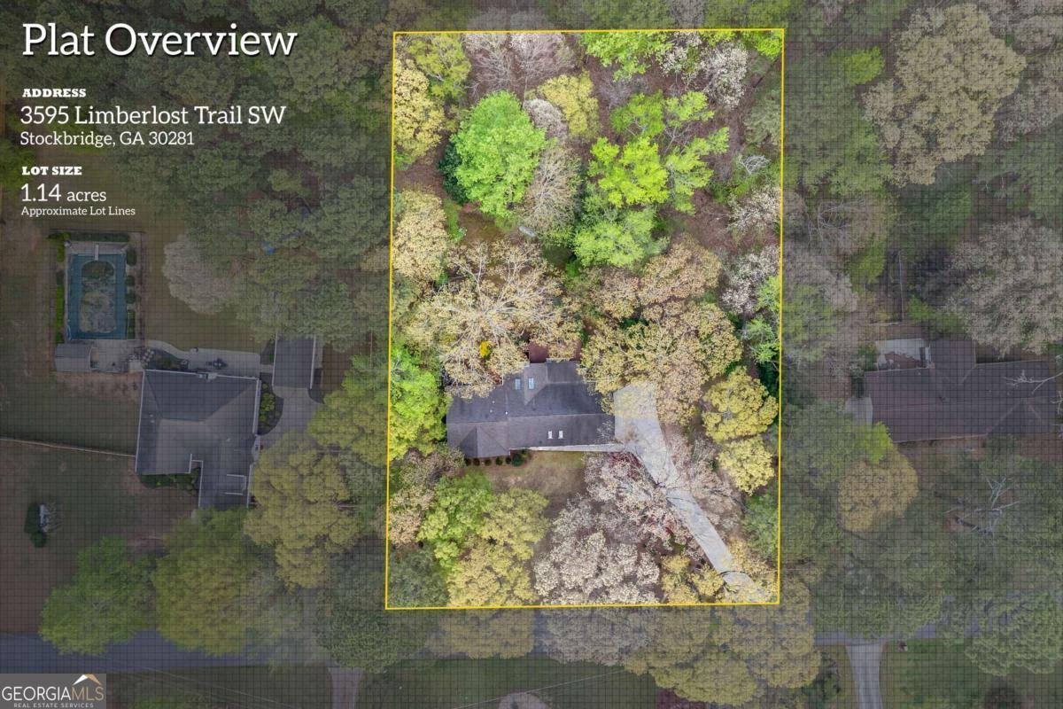 3595 Limberlost Trail Stockbridge - 47