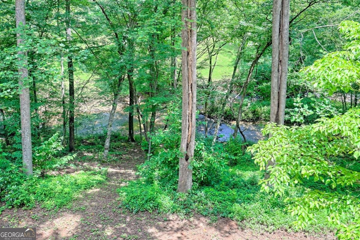 215 Souther Meadow Drive Blairsville - 25