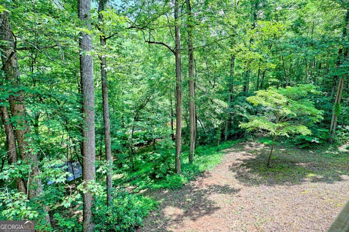 215 Souther Meadow Drive Blairsville - 3